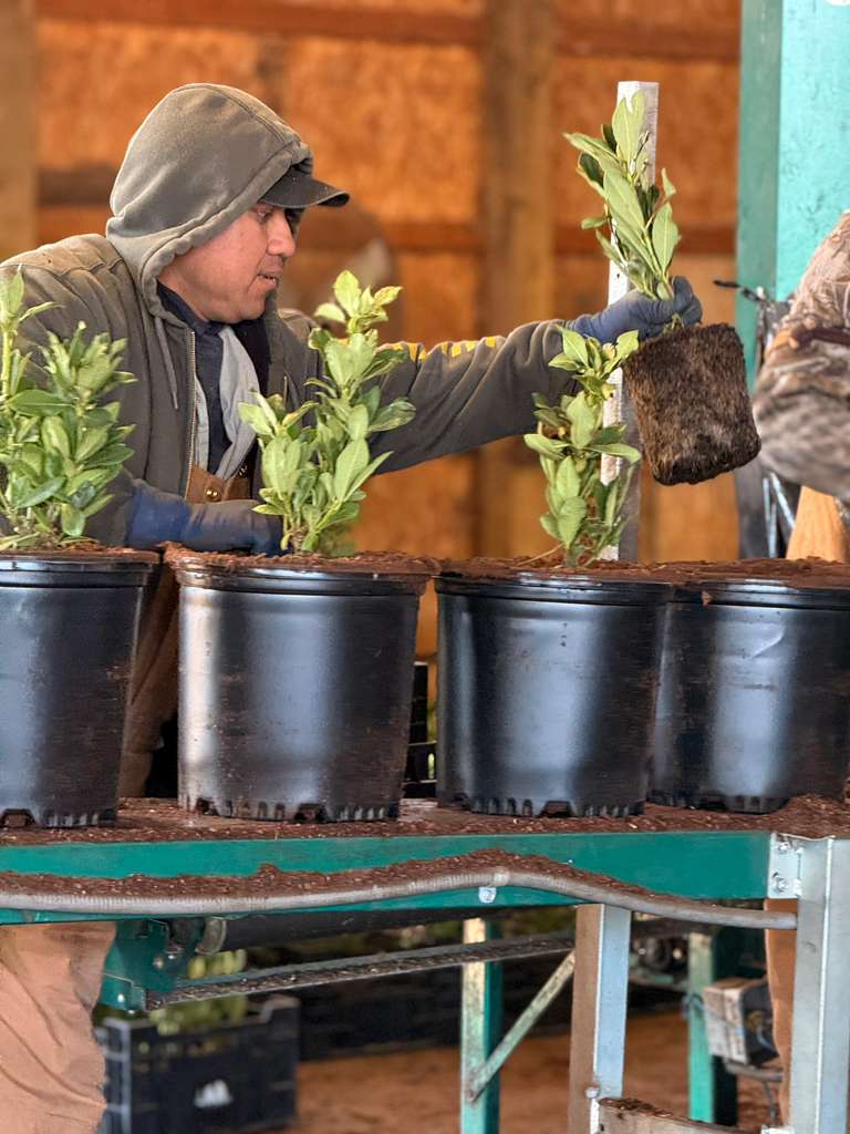 Getting started with harvesting services.