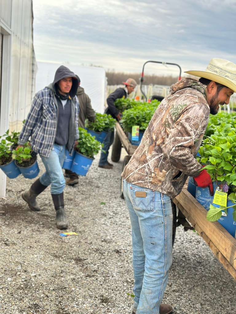 Overlook Harvesting team members in company uniforms.